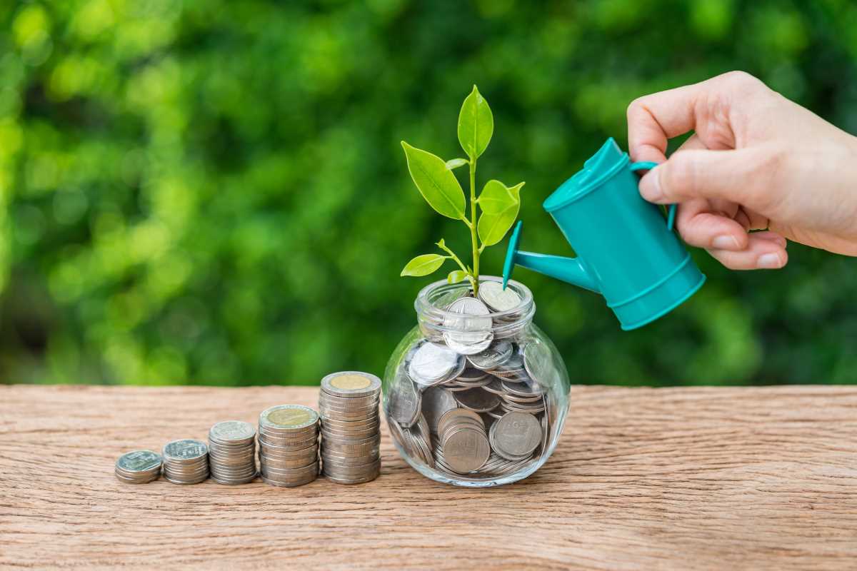 Automated Tax-Loss Harvesting for DIY Investors